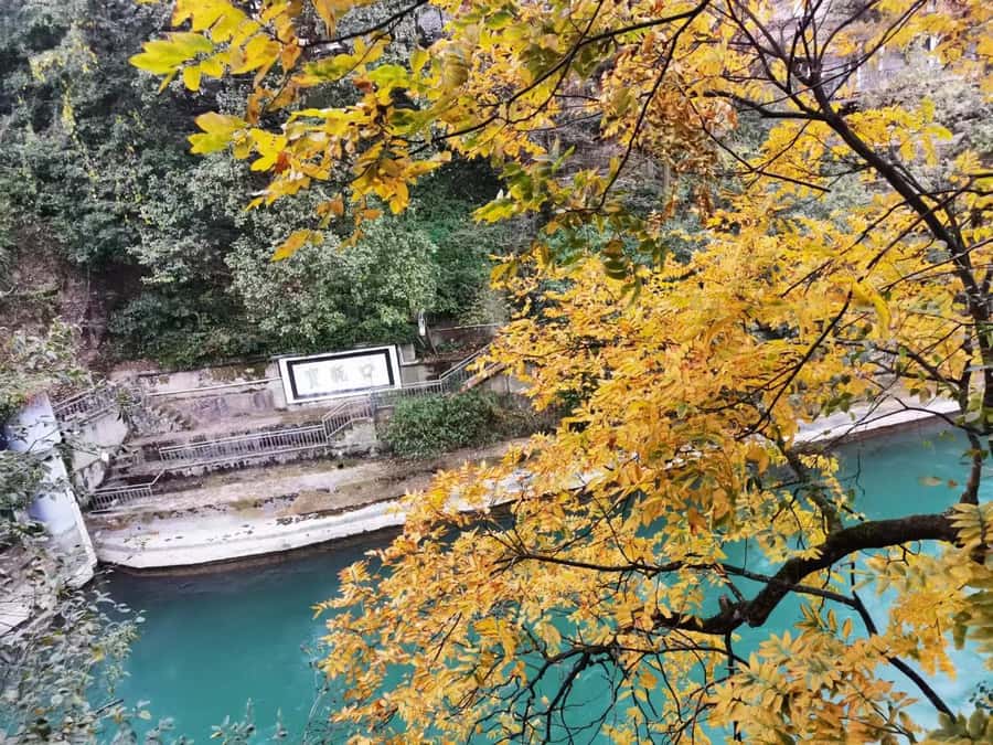1-Day Mount Qingcheng and Dujiangyan Irrigation System Tour - The 80-minute ride from Chengdu