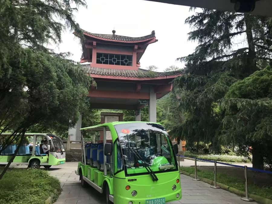 1-Day Mount Qingcheng and Dujiangyan Irrigation System Tour - How the guide affects the experience