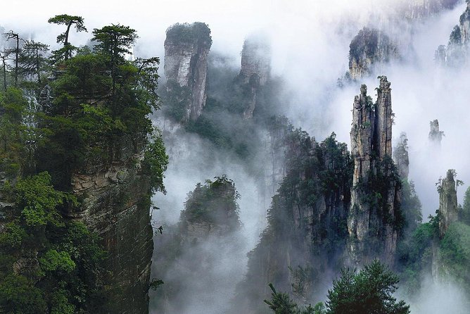 1-Day Private Tour to ZJJ National Forest Park & Avatar Mountain - Why a private guide helps in Zhangjiajie