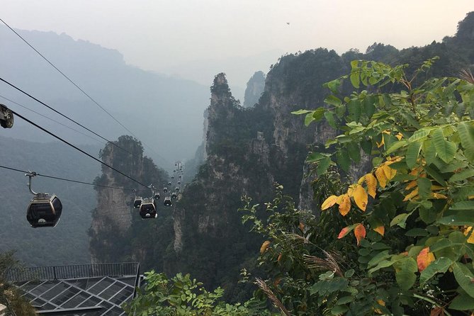 1-Day Private Tour to ZJJ National Forest Park & Avatar Mountain - Yuanjiajie is the Avatar viewpoint section