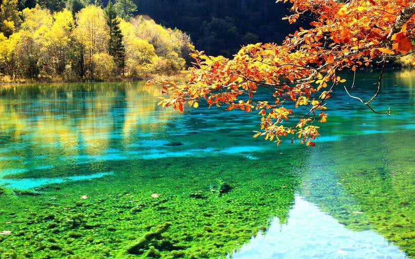 2 Day Chengdu to Jiuzhaigou&Huanglong Self-Guided w/Transfer - Jiuzhaigou Valley: lakes, waterfalls, and your own route