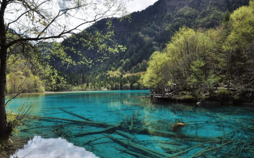 2 Day Chengdu to Jiuzhaigou&Huanglong Self-Guided w/Transfer - The overnight stay is yours to arrange