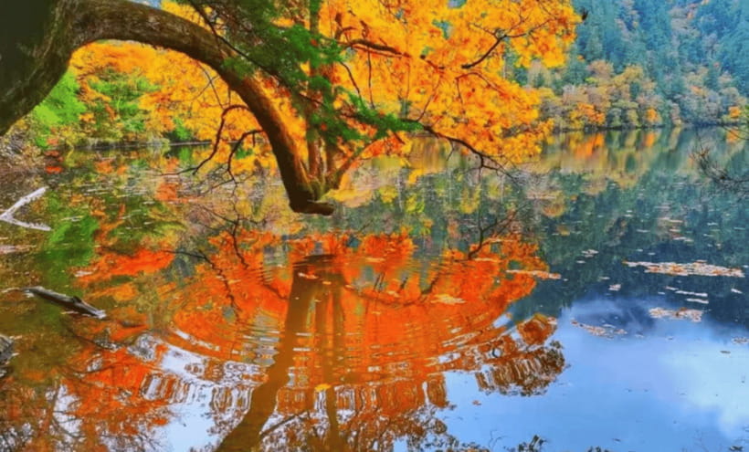 2 Day Chengdu to Jiuzhaigou&Huanglong Self-Guided w/Transfer - Is $386 a good value?