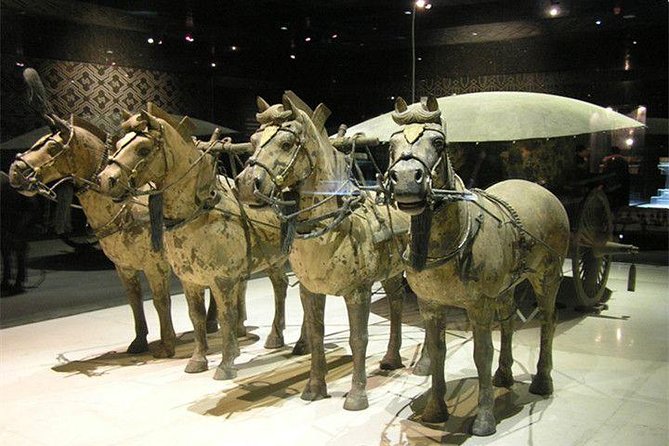 2-Day Highlights Xi'an Private Tour Combo Package: Terracotta Warriors and City Sightseeing - Meeting your guide at the airport or station