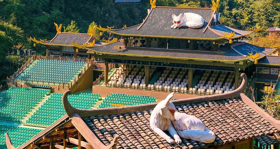2-Day Private Zhangjiajie Tour Avatar Mountain, Glass Bridge - The Glass Skywalk and what it feels like