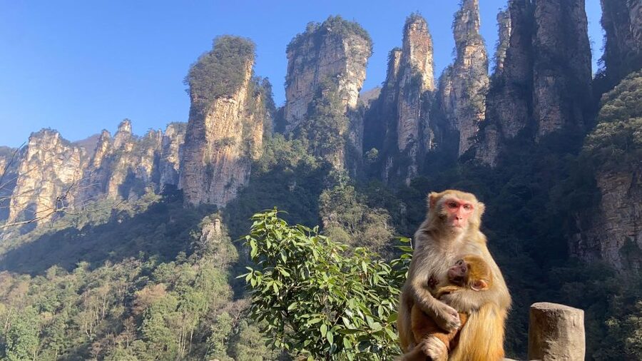 4-Day Highlights of Zhangjiajie With Sunrise Experience - Day 4: Tianmen Mountain from cable car to Tianmen Cave