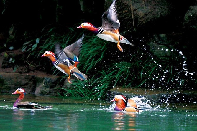 4-Day Zhangjiajie Tour to All Highlight Attractions with VIP Lift - Should you book it?