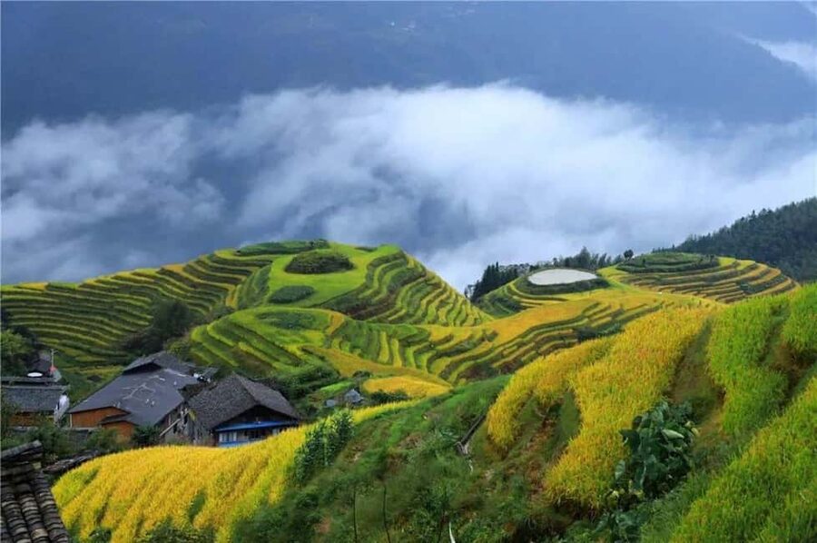 6-Day Private Tour: Guilin Terraces, Fenghuang & Zhangjiajie - Key details to know before booking