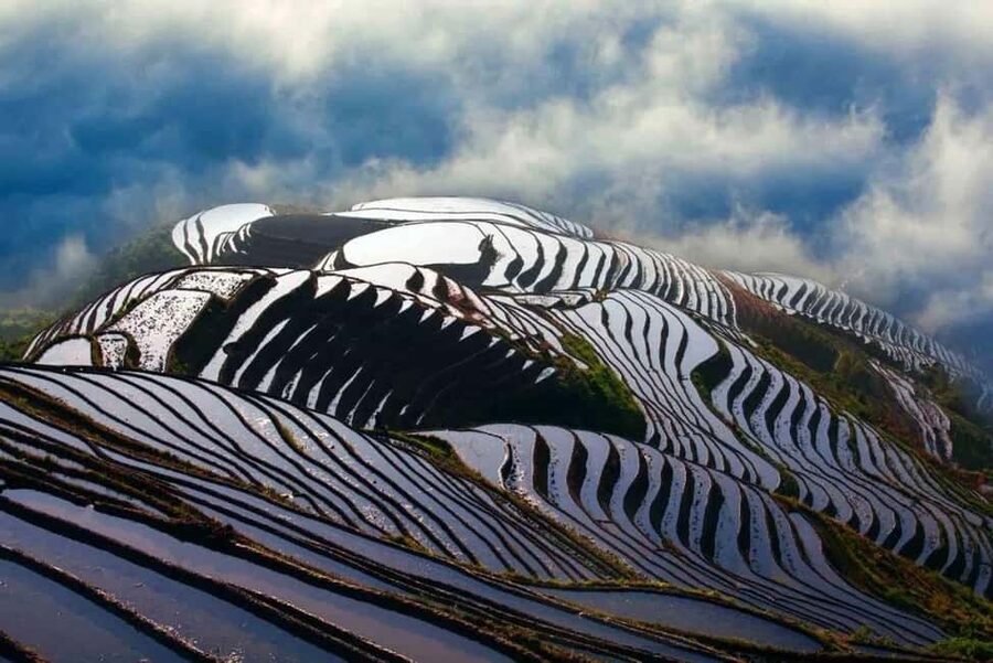 6-Day Private Tour: Guilin Terraces, Fenghuang & Zhangjiajie - How good is the guiding?