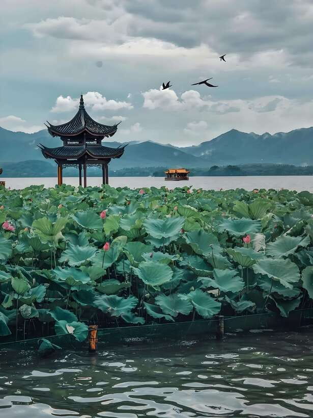 7 hours Hangzhou Tour Itinerary - West Lake first, with a cruise and a broad view