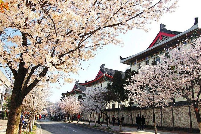 All Inclusive Nanjing City Private Day Tour with Tailor-Made Highlights - Xiaoling Tomb, an imperial site with room to breathe