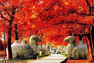 All Inclusive Nanjing City Private Day Tour with Tailor-Made Highlights