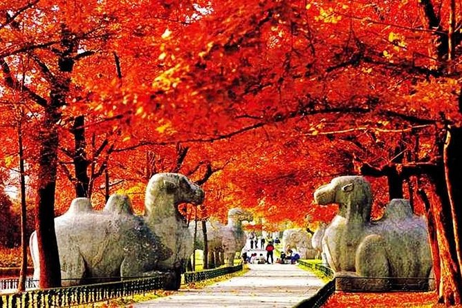 All Inclusive Nanjing City Private Day Tour with Tailor-Made Highlights - Purple Mountain and the climb to Dr. Sun Yat-sen’s Mausoleum