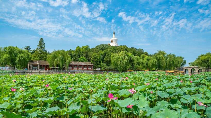 Beijing: Beihai Park Entry Ticket & English PDF Guidebook - Getting through the entrance with a QR ticket