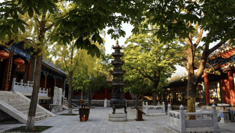 Beijing:Bullet Train Day Tour to Shaolin Temple&Martial Arts - Walking through the temple halls and courtyards