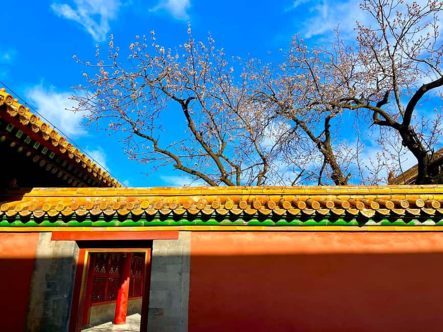 Beijing:Forbidden City--Reveal Secrets Behind Red Walls - The three great halls explain imperial ceremony