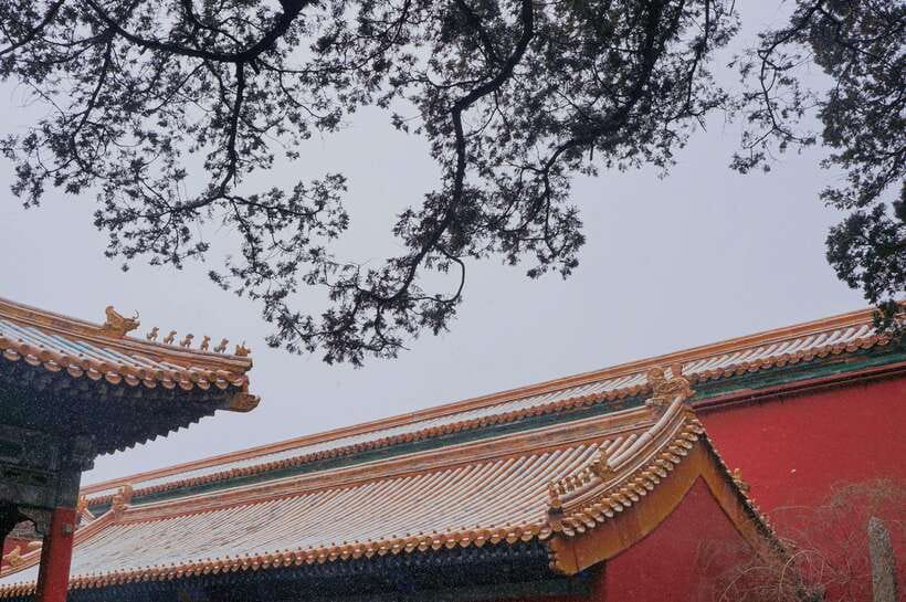Beijing:Forbidden City & Tian'anmen Square with entry ticket - What families and older visitors should consider