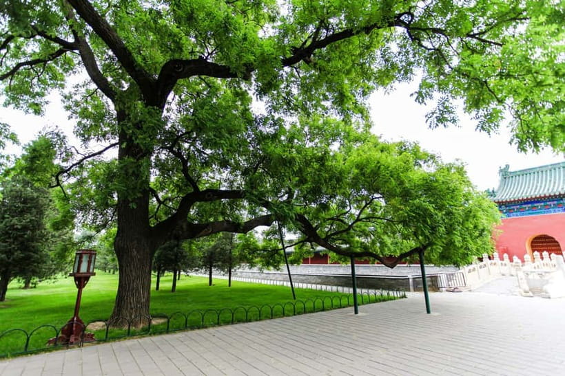 Beijing:Forbidden City Tour—Temple, Summer Palace&Great Wall - Who should book this tour