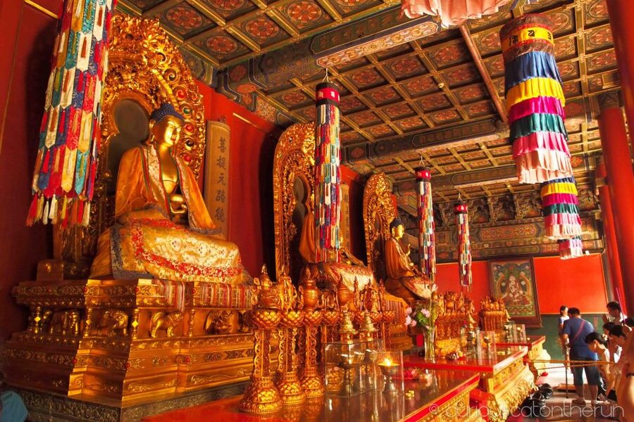 Beijing: Lama Temple, Confucius Temple and Guozijian Museum - Ending Near Wudaoying Hutong