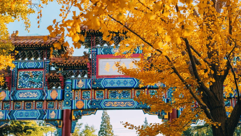 Beijing: Lama Temple (Yonghe Temple) Admission Ticket - Incense, prayer, and the temple’s living character