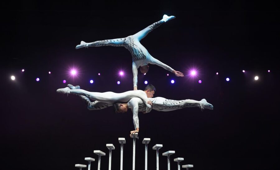 Beijing Night Tour with Acrobatics Show & PekingDuck Dinner - What the $192 price really buys you