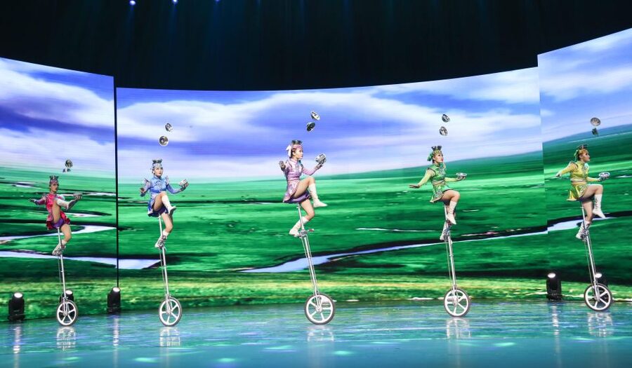Beijing Night Tour with Acrobatics Show & PekingDuck Dinner - Should you book this Beijing night tour?
