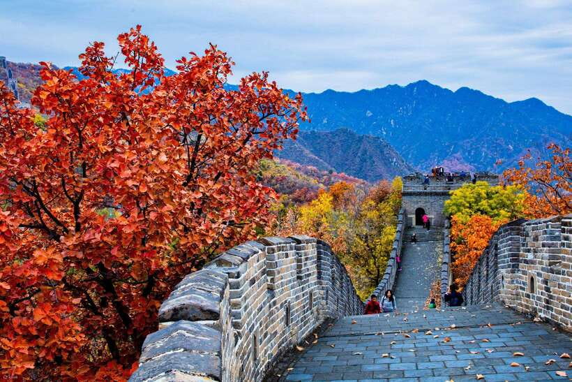 Beijing: Panda House w/Great Wall or City Sites Private Tour - Is $144 per person good value?