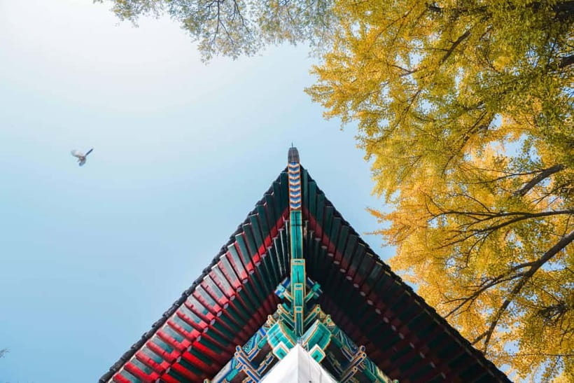 Beijing: Peking University Campus Guided Walking Tour - Is $39 a fair price?