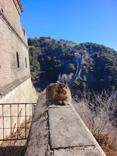 Beijing: Private Tour to Mutianyu Great Wall&Forbidden City - Forbidden City: two hours among imperial courtyards
