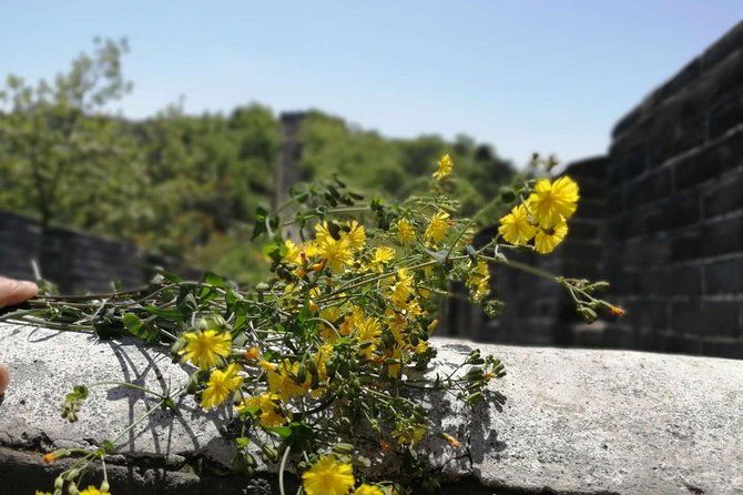 Beijing Private Transfer: Badaling Great Wall with VIP Past Pass - Why a private Badaling transfer makes sense