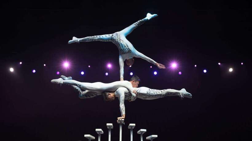 Beijing: Red Theatre Acrobatics Show Ticket-Local Must-See - Who Will Enjoy This Most?