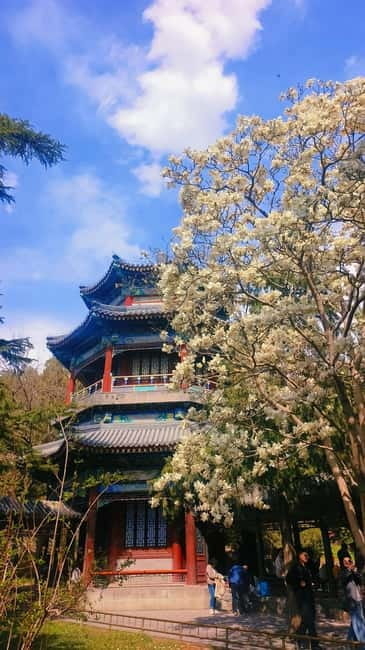 Beijing: Summer Palace Highlight Walking Tour - Who Should Book This Tour?
