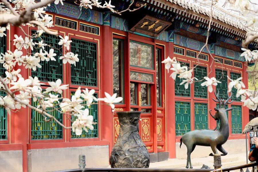 Beijing: Summer Palace, Sacred Road&Ming Tombs Private Tour - Choosing Dingling or Changling Tomb