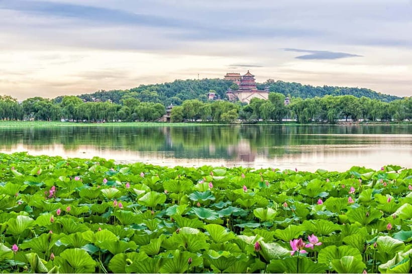 Beijing:Summer Palace & Tea or Calligraphy Experience Tour - From the Palace to the Afternoon Class