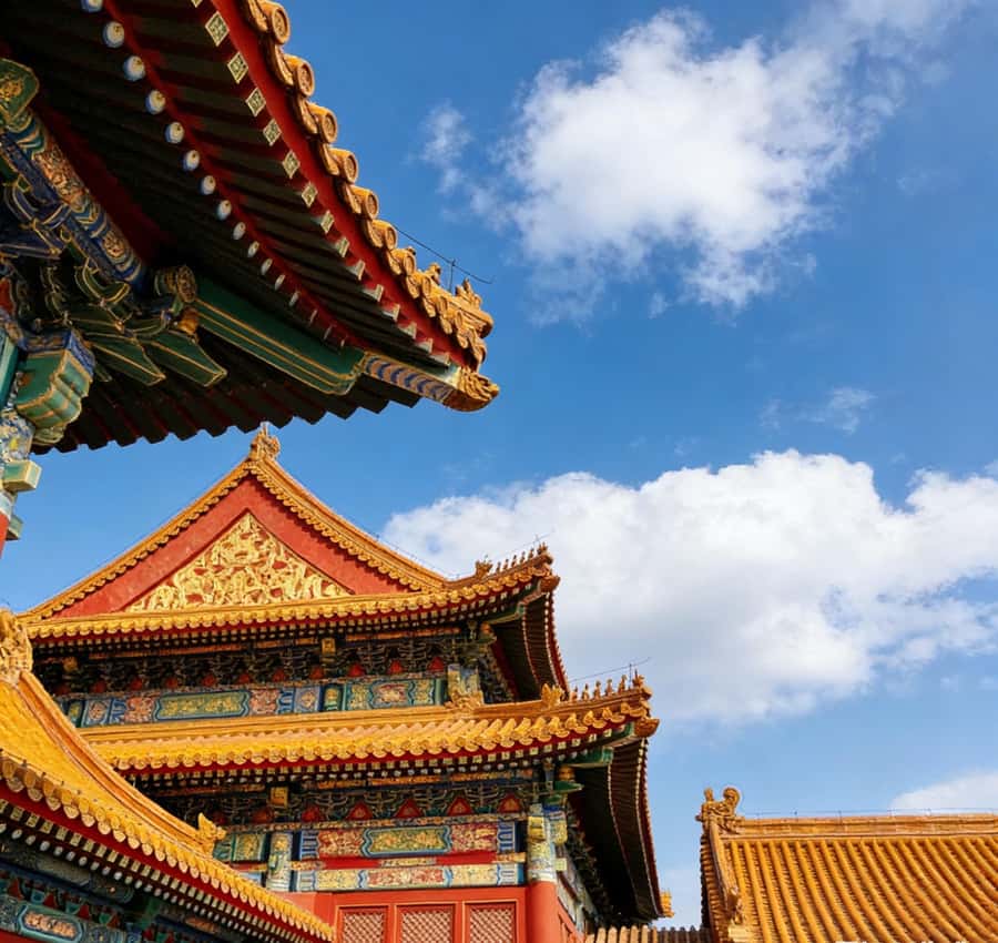 Beijing: Temple of Heaven and Forbidden City Private Tour - Key points to know before booking