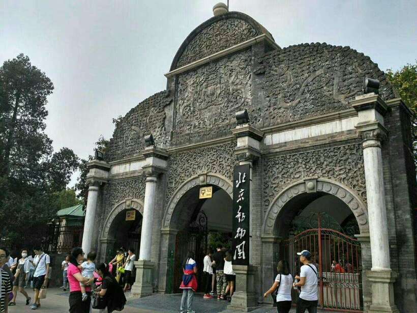 Beijing: The Beijing Zoo Entry Ticket with Pandas - Key points to know