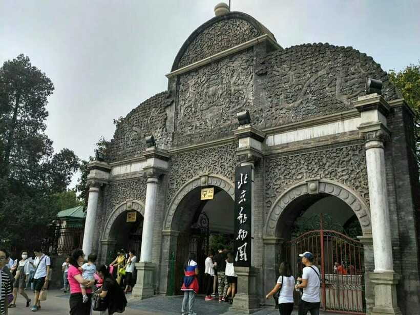 Beijing: The Beijing Zoo Entry Ticket with Pandas - The animal enclosures deserve a careful look