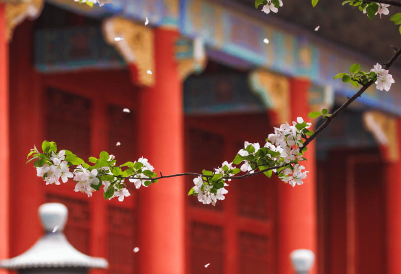 Beijing: Tiananmen Square and Forbidden City Entry Tickets - Hutong food and everyday Beijing