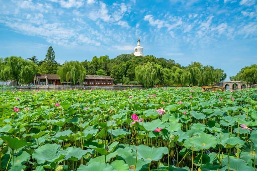 Beijing: Tiananmen Square & Forbidden City Tickets & Tours - Private routes for families and slower schedules