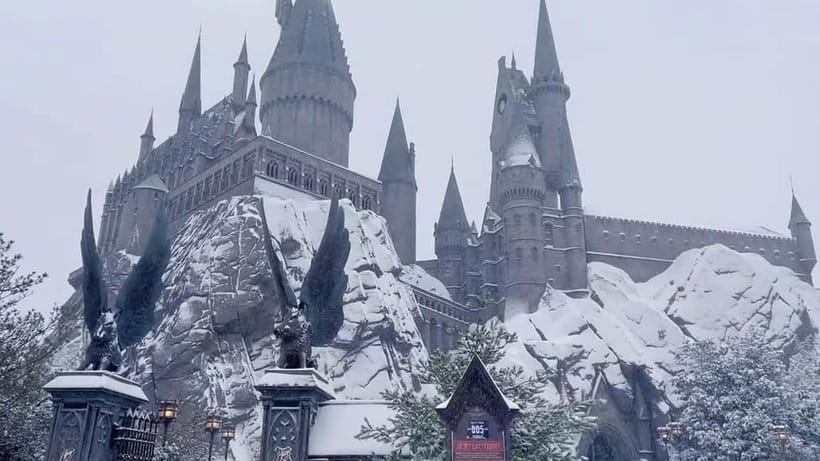 Beijing Universal studios 1 day private tour (opt) - Minion Land from 14:00 to 15:00