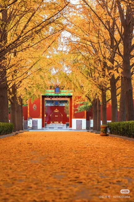Beijing: Yonghe Lama Temple Tickets with guide (optional) - Why Yonghe Lama Temple deserves your time