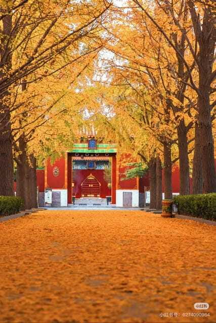 Beijing: Yonghe Lama Temple Tickets with guide (optional) - Practical rules and access