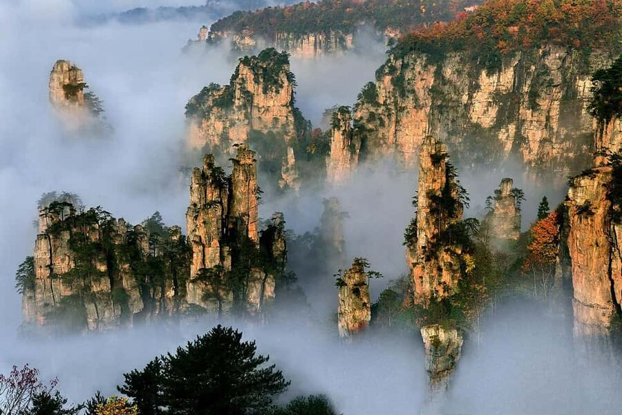 Best Mini Group to Zhangjiajie Forest Park & Avatar Mountain - Key points to know before you book