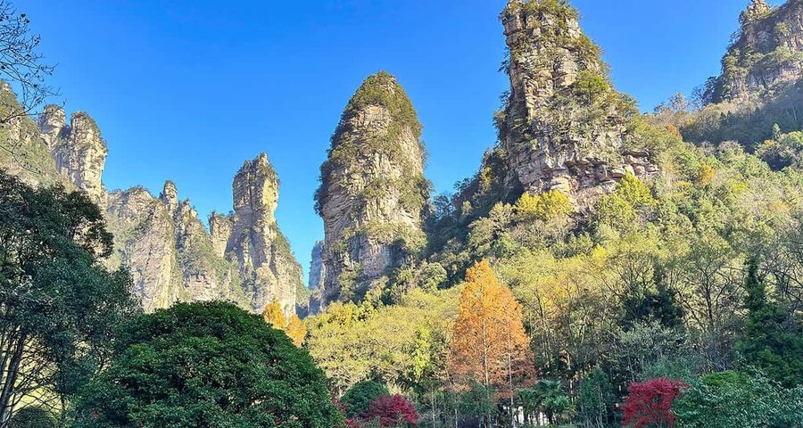 Best Mini Group to Zhangjiajie Forest Park & Avatar Mountain - Guides, group size, and the human side