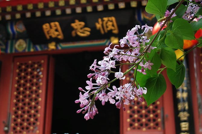 BusDa-Full-Day Bus Trips: Mutianyu, Summer & Old Summer Palaces - How to get the most from your day