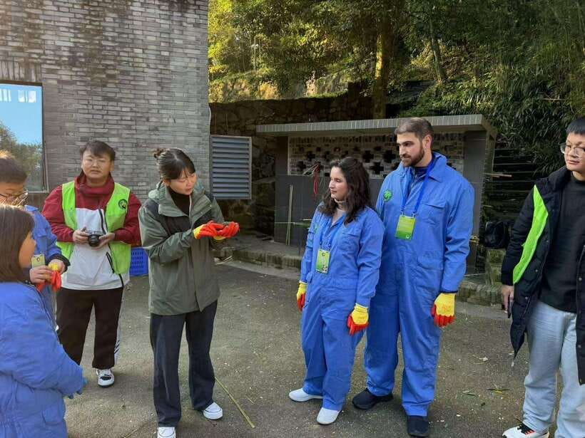 Chengdu: Dujiangyan Panda Base Volunteering Day Trip - Key points to know before booking