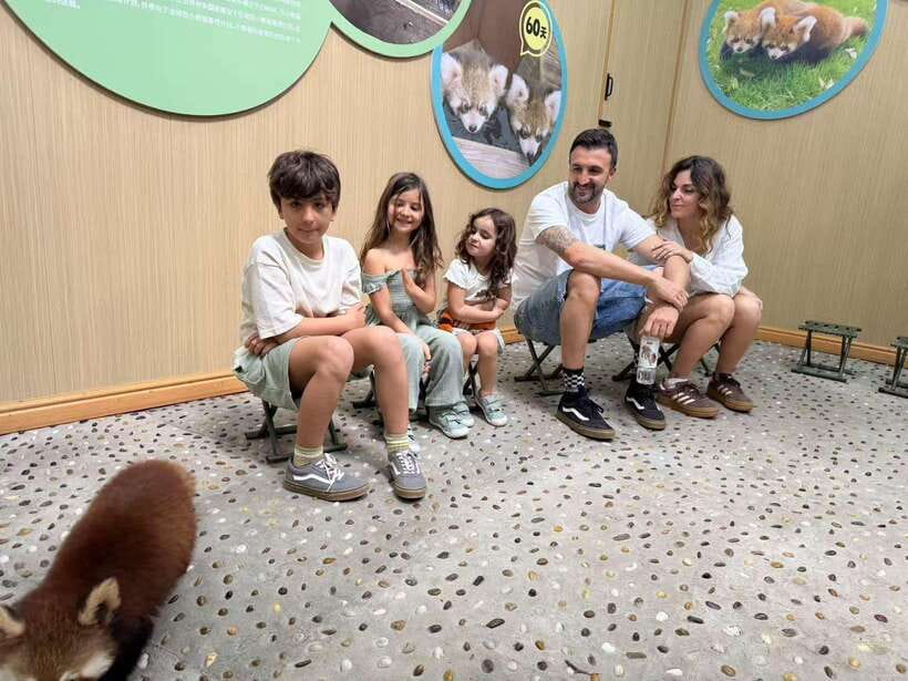 Chengdu: Dujiangyan Panda Base Volunteering Day Trip - Is $231 a fair price?
