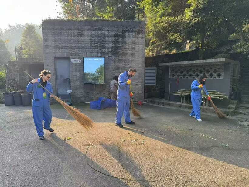 Chengdu: Dujiangyan Panda Base Volunteering Day Trip - Preparing bamboo instead of just taking photos