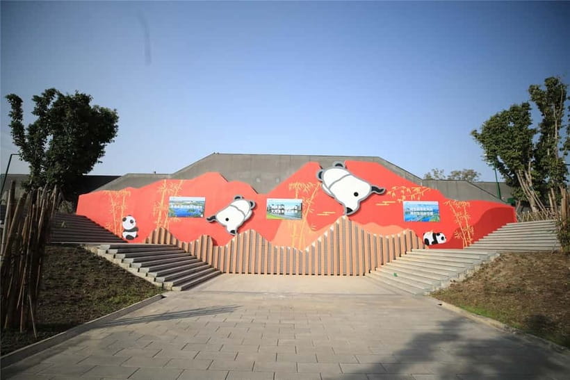 Chengdu: Half-Day Panda Base Tour with Guide Option - A word about guide Chenlei