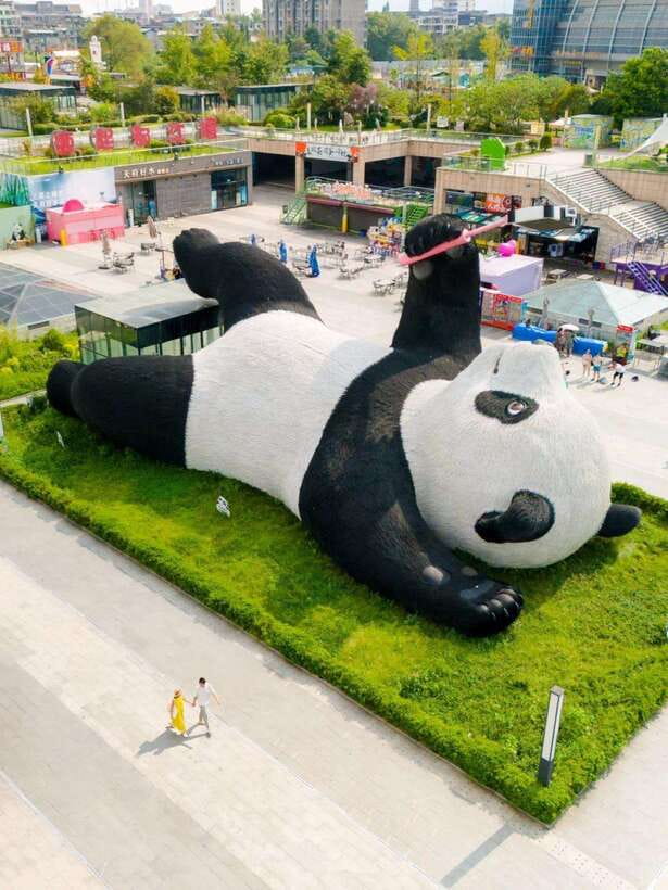Chengdu: Hidden Wonders Day Tour with Wolong Panda Base - Why this Chengdu day trip works